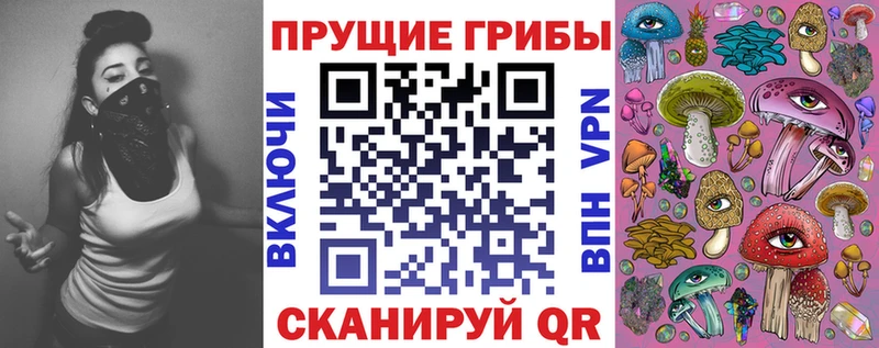 магазин    Пудож  Галлюциногенные грибы мицелий 