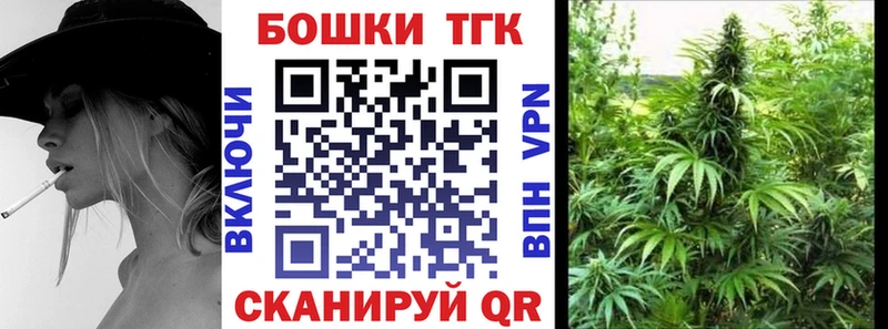 купить закладку  Пудож  Бошки Шишки THC 21% 